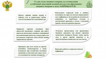 Правила пожарной безопасности  в лесах
