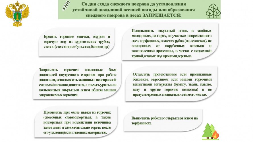 Правила пожарной безопасности  в лесах