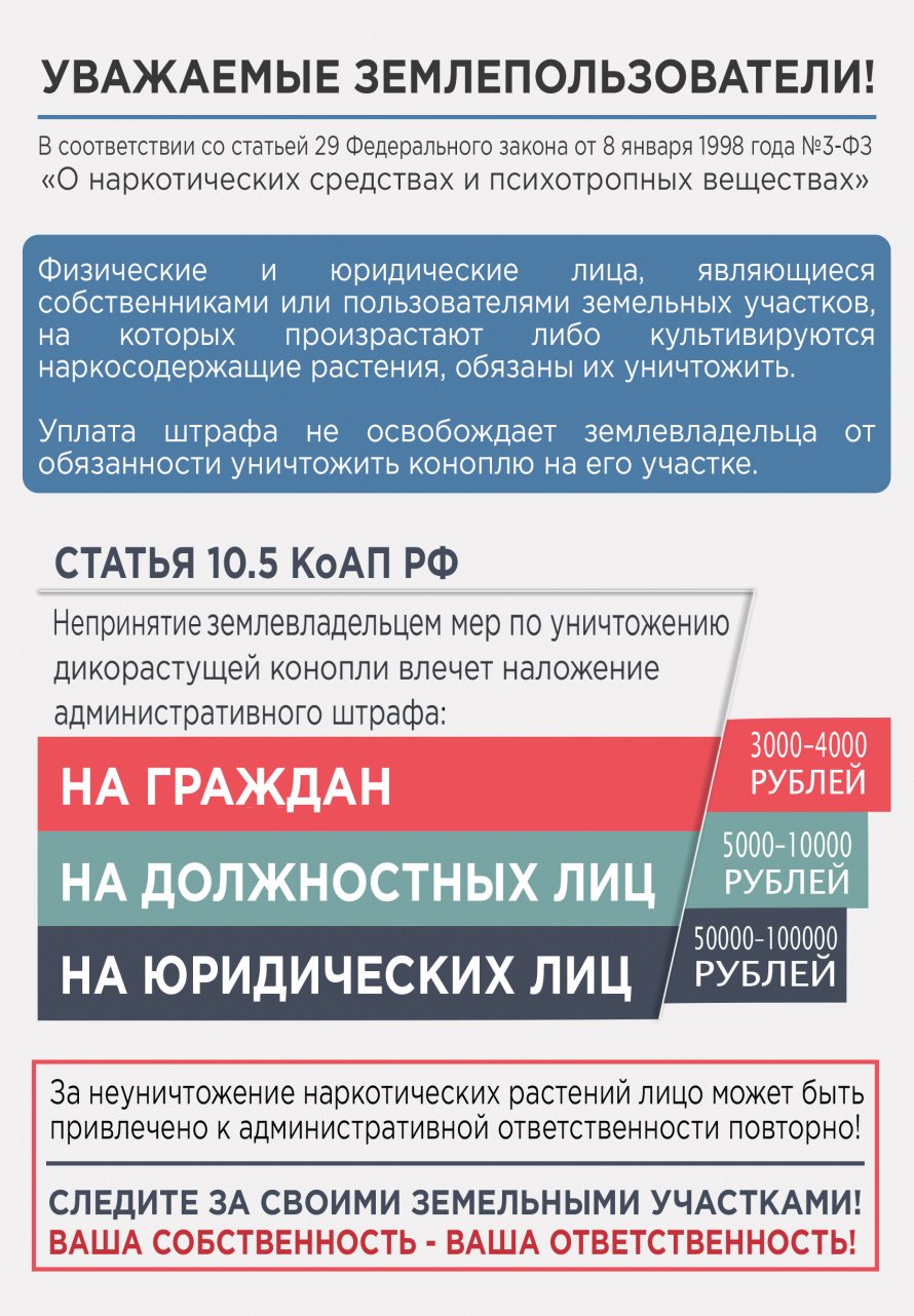 О мерах по уничтожению наркосодержащих растений 