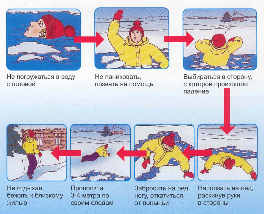 Как выбраться из полыньи
