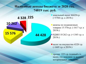 Налоговые доходы бюджета за 2020 год, 74819 тыс. руб.