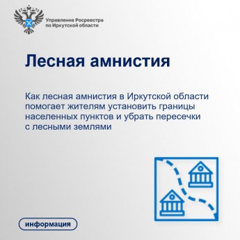 Лесная амнистия