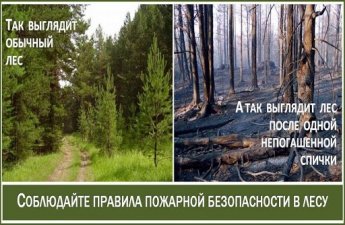 Правила пожарной безопасности в лесу