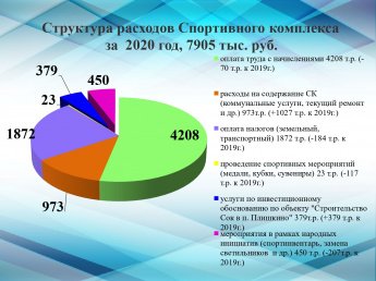 Структура расходов Спортивного комплекса за 2020 год, 7905 тыс. руб.