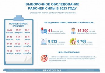 Выборочное обследование рабочей силы в 2023 году
