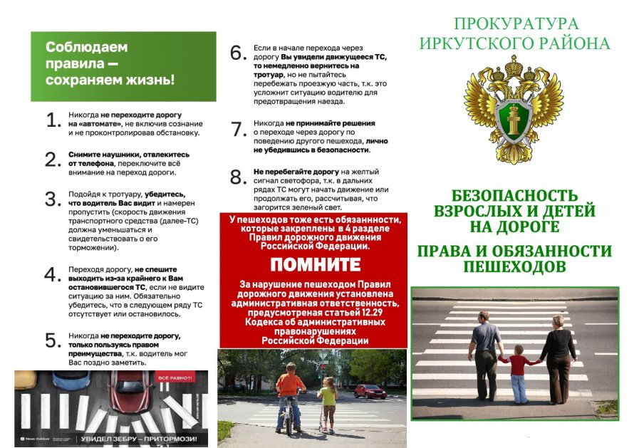 Безопастность взрослых и детей на дороге