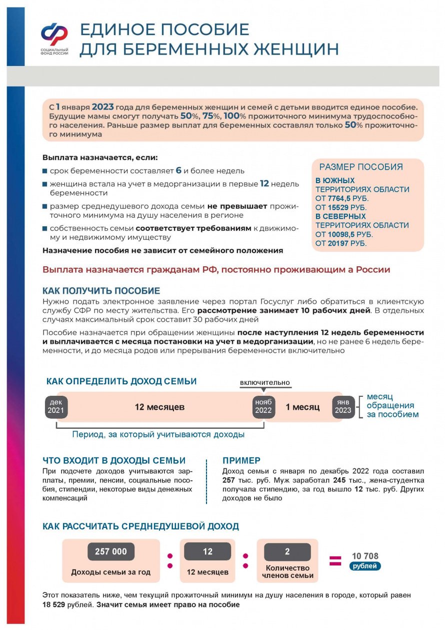Единое пособие для беременных женщин