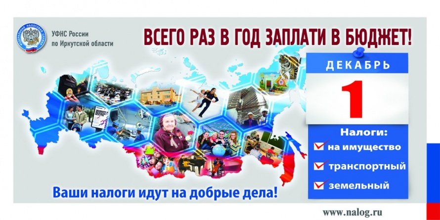 Всего раз в год заплати в бюджет