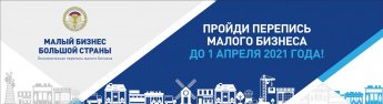 Перепись малого бизнеса