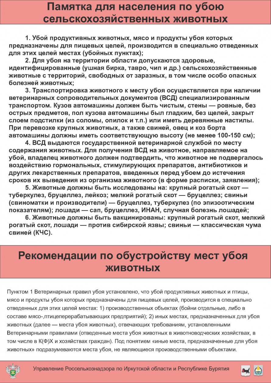Памятка для населения по убою сельскохозяйственных животных