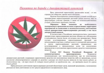 Конопля