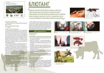 Информация 